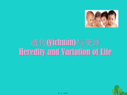 高中生物第三册第8章遗传与变异课件(1)沪科版
