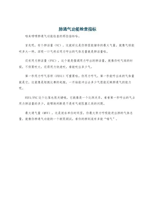 肺通气功能检查指标