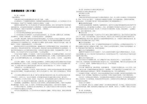自燃调查报告(共16篇) 