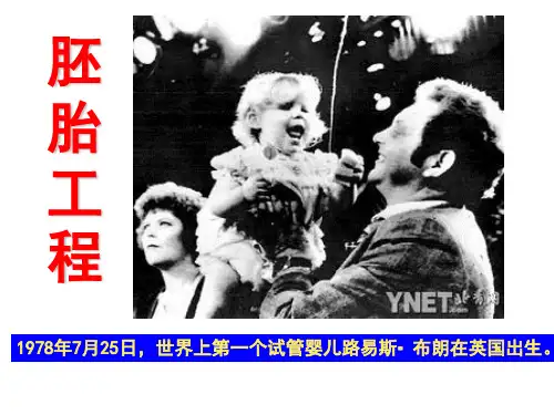 从受精卵谈起(好)