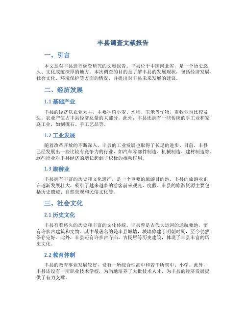 丰县调查文献报告