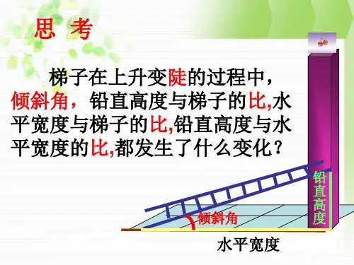 28.1锐角三角函数(1)