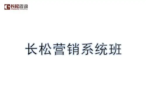 营销系统战略流程