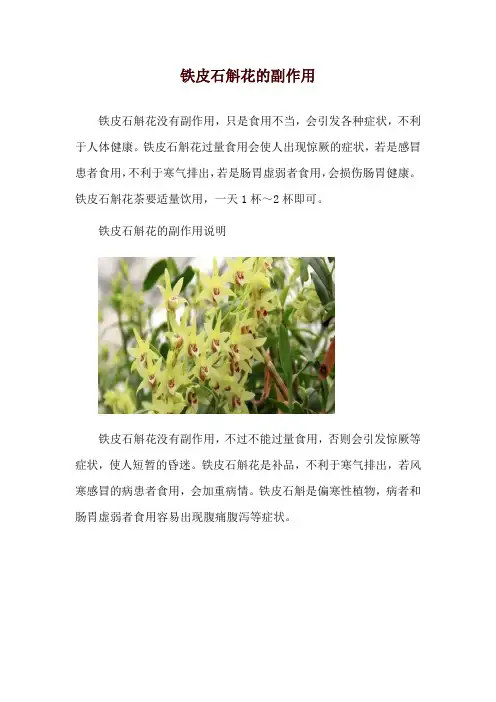 铁皮石斛花的副作用
