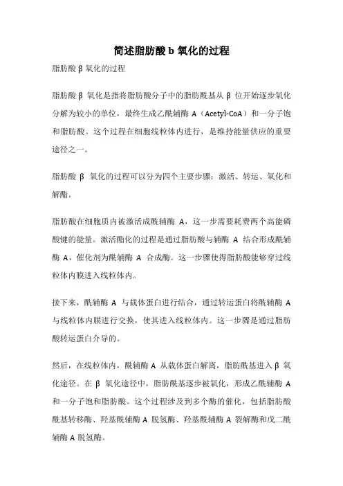 简述脂肪酸b氧化的过程