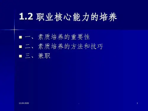 第二讲-职业核心能力ppt课件