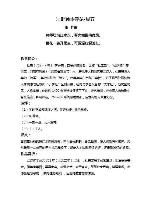 江畔独步寻花其五(标准版赏析)