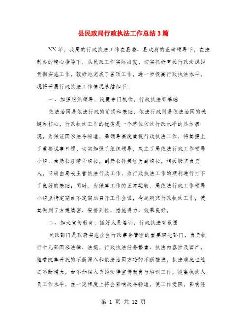 县民政局行政执法工作总结3篇