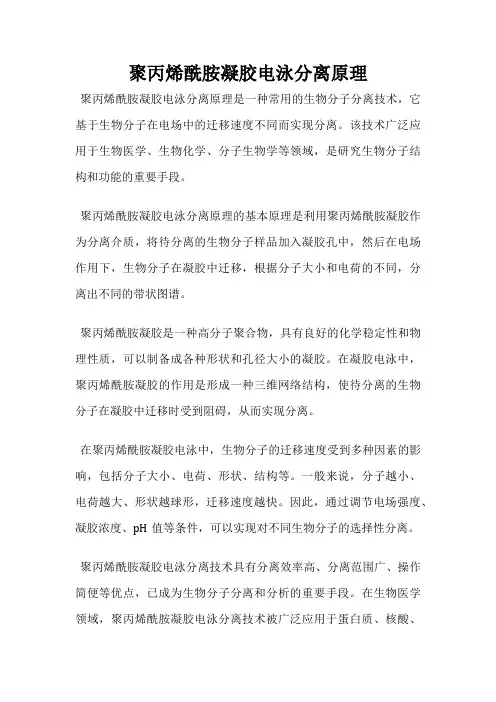 聚丙烯酰胺凝胶电泳分离原理
