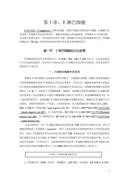 第10章T细胞