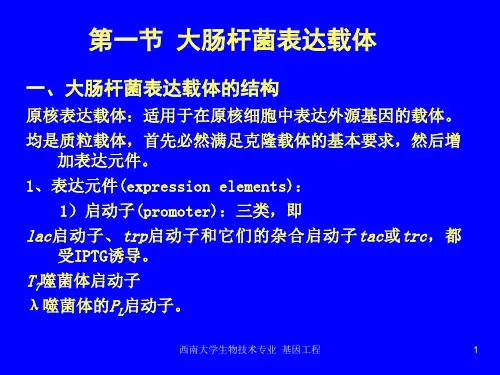 第5章 表达载体