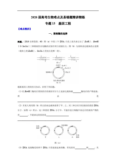 高中生物高考专题13 基因工程(解析版)