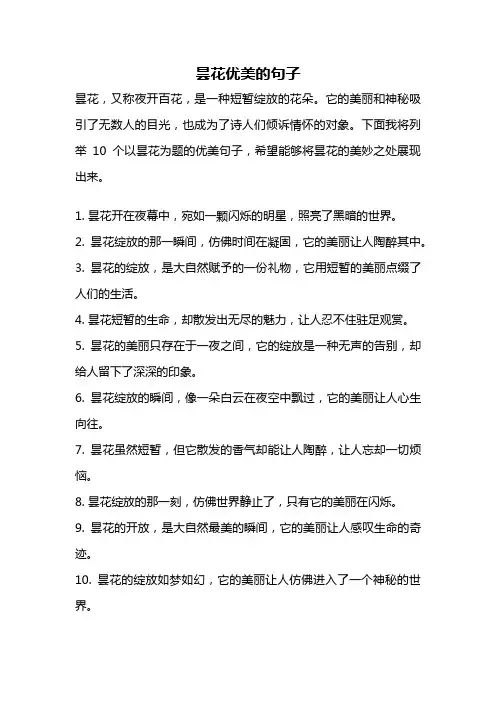 昙花优美的句子