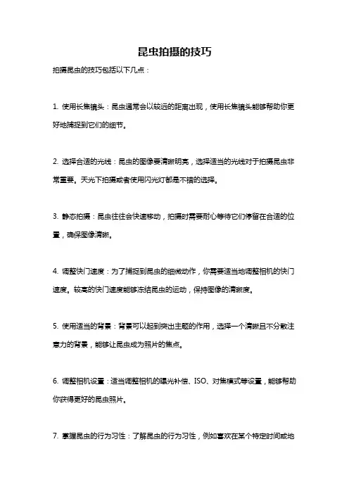 昆虫拍摄的技巧
