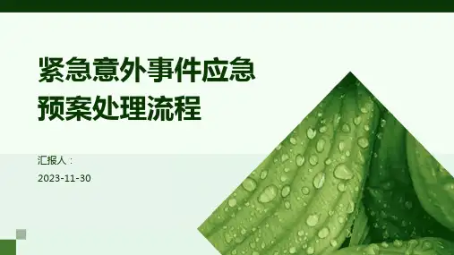 紧急意外事件应急预案处理流程