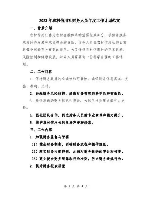 2023年农村信用社财务人员年度工作计划范文