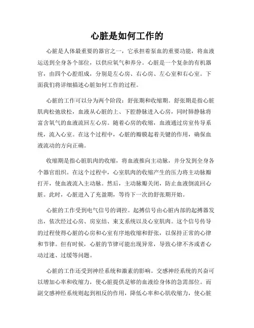 心脏是如何工作的
