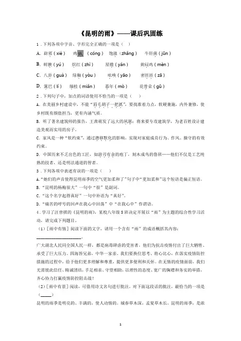 《昆明的雨》课后巩固练