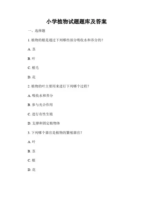 小学植物试题题库及答案