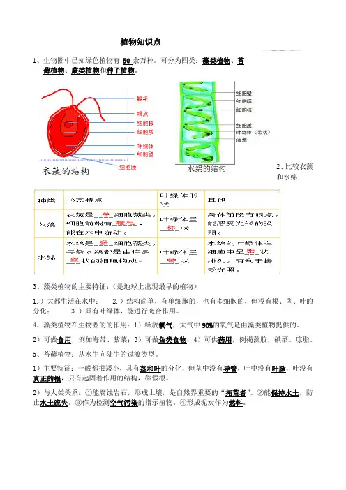 人教版七年级上册生物植物知识点