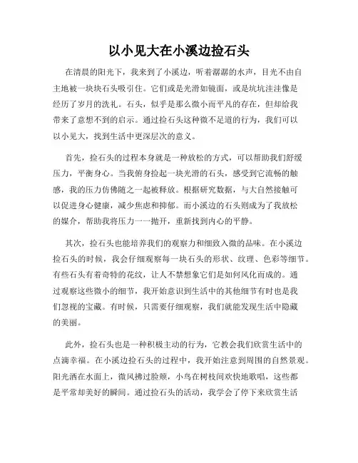 以小见大在小溪边捡石头