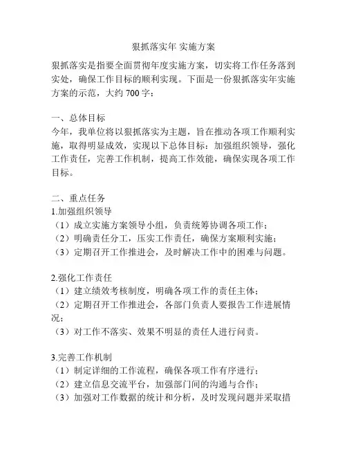 狠抓落实年 实施方案