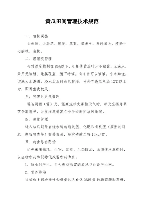 黄瓜田间管理技术规范