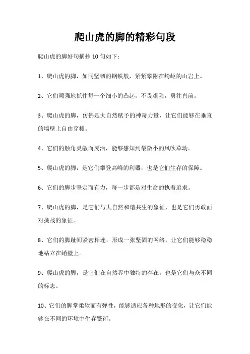 爬山虎的脚的精彩句段