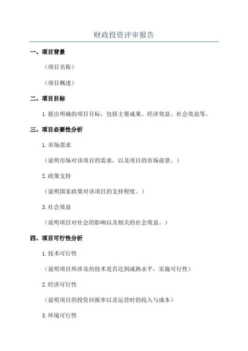 财政投资评审报告