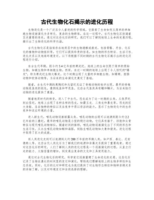 古代生物化石揭示的进化历程