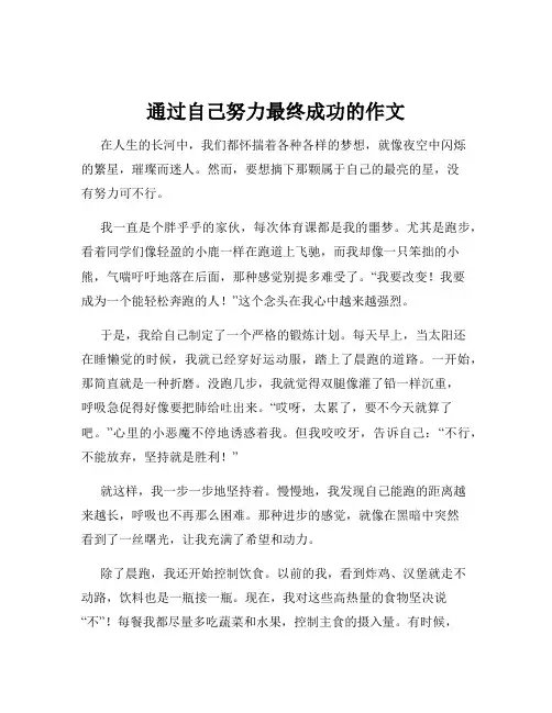 通过自己努力最终成功的作文