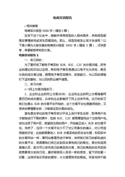 电商实训报告