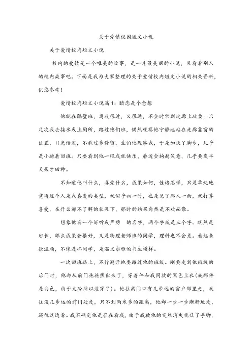 关于爱情校园短文小说