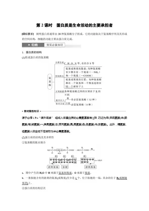 2024届高考一轮复习生物教案(苏教版)：蛋白质是生命活动的主要承担者