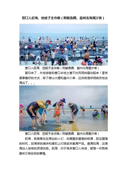 营口人赶海、挖蛏子全攻略（附鲅鱼圈、盖州北海潮汐表）