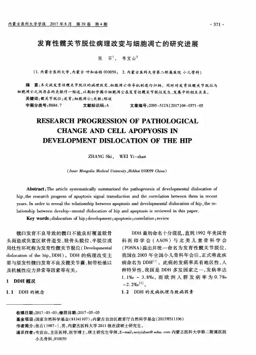 发育性髋关节脱位病理改变与细胞凋亡的研究进展