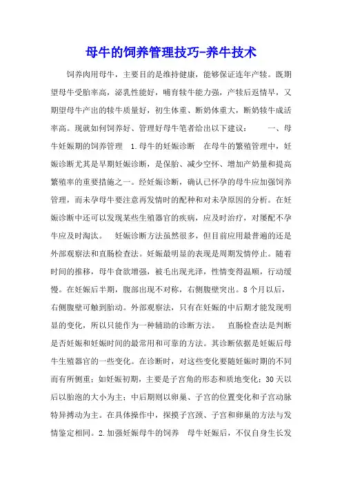 母牛的饲养管理技巧 - 养牛技术