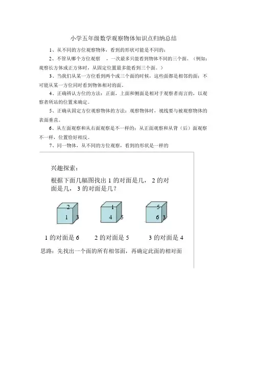观察物体知识点归纳总结