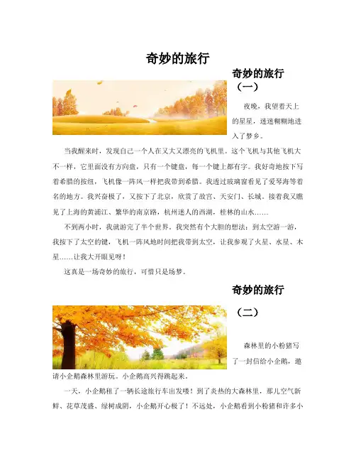 奇妙的旅行(共10篇)