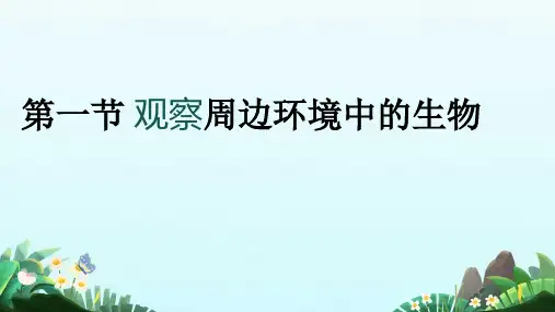 观察周边环境中的生物ppt课件