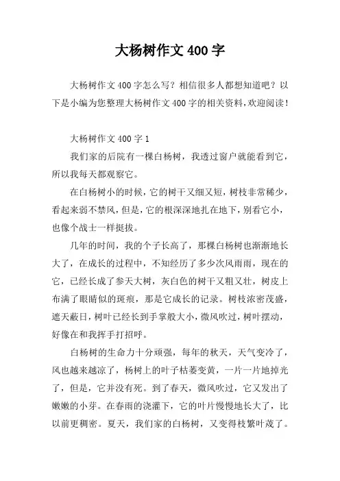 大杨树作文400字