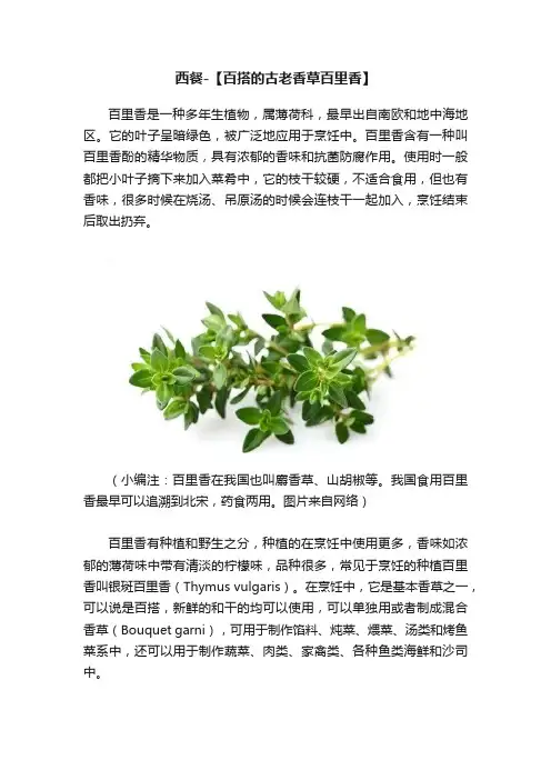 西餐-【百搭的古老香草百里香】
