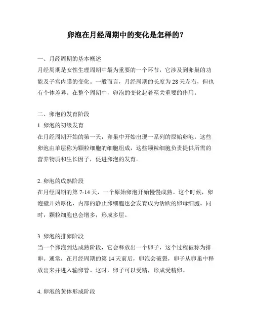 卵泡在月经周期中的变化是怎样的？