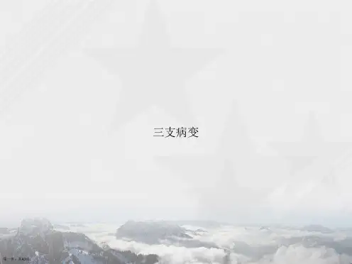 三支病变讲课文档