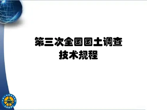 三次国土调查规程