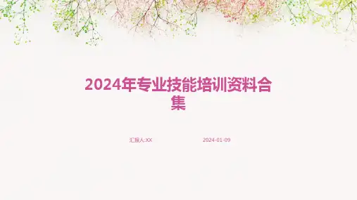 2024年专业技能培训资料合集