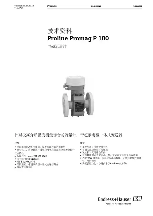 E+H 电磁流量计 (Endress+Hauser) Proline Promag P 100 技术资料