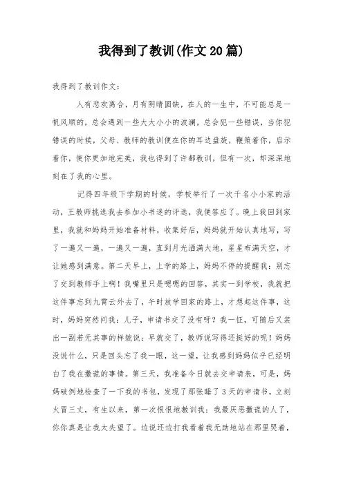 我得到了教训(作文20篇)