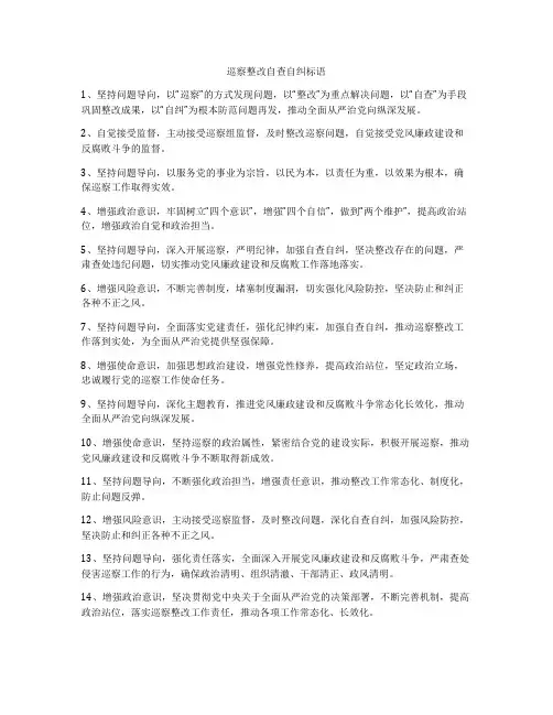 巡察整改自查自纠标语