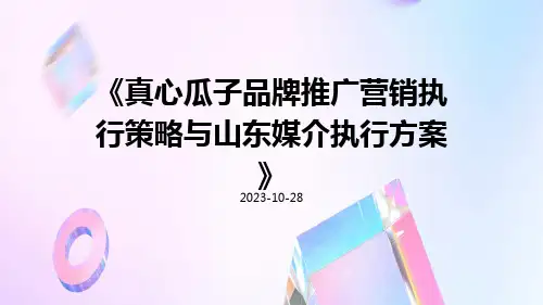 真心瓜子品牌推广营销执行策略与山东媒介执行方案